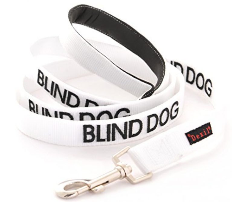 blind dog t shirt